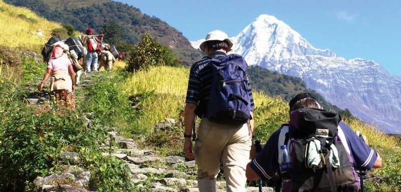 Tourists trekking and hiking in the scenic hills of Pokhara with panoramic views of the Annapurna mountain range, lush forests, and traditional villages