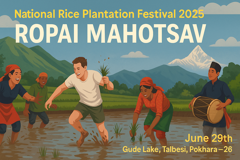 Foreign and local participants enjoy mud games and rice planting at the National Rice Plantation Festival 2025 held at Gude Lake, Pokhara