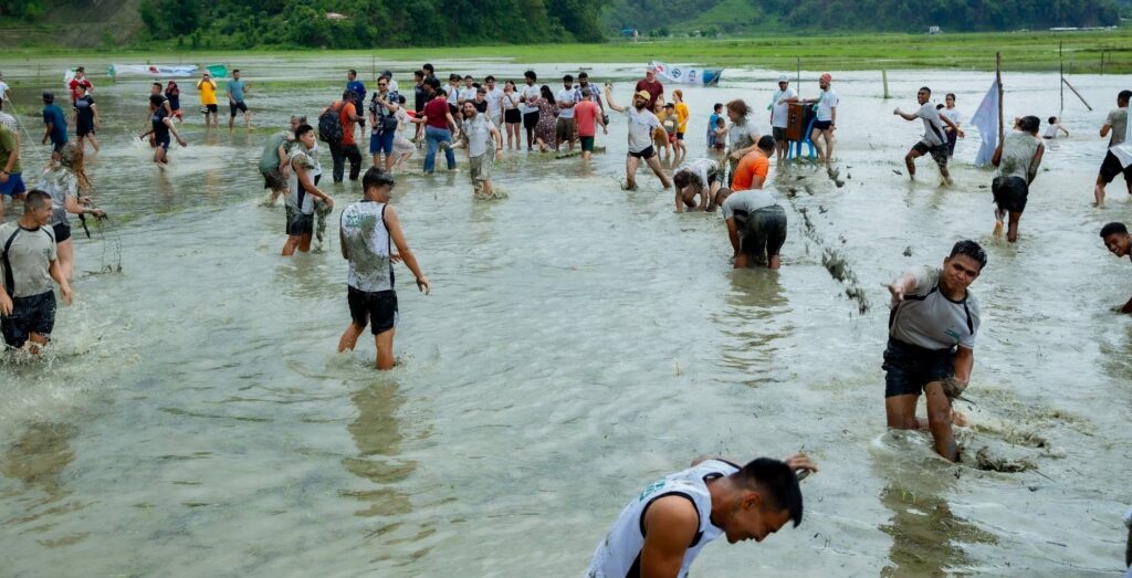 Foreign and local participants enjoy mud games and rice planting at the National Rice Plantation Festival. Hilo chapne.